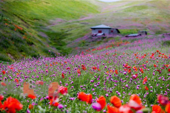 بهترین مقصدها برای سفر در بهار کجاست ؟