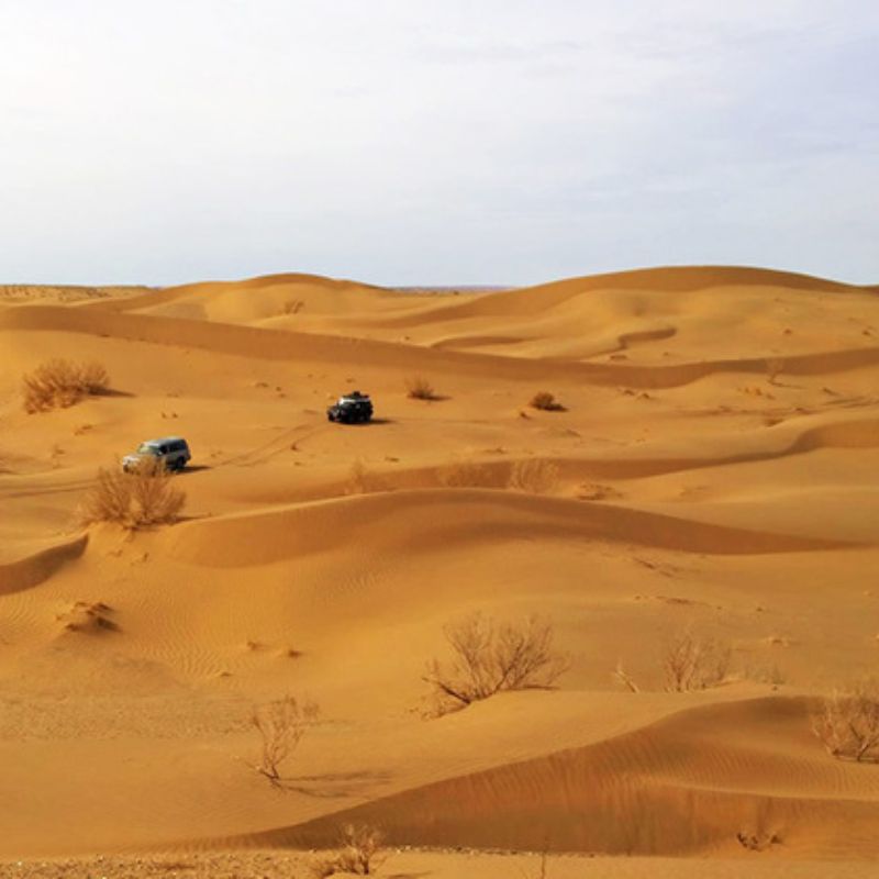 راهنمای سفر به کویر مصر؛ هر آنچه باید بدانید